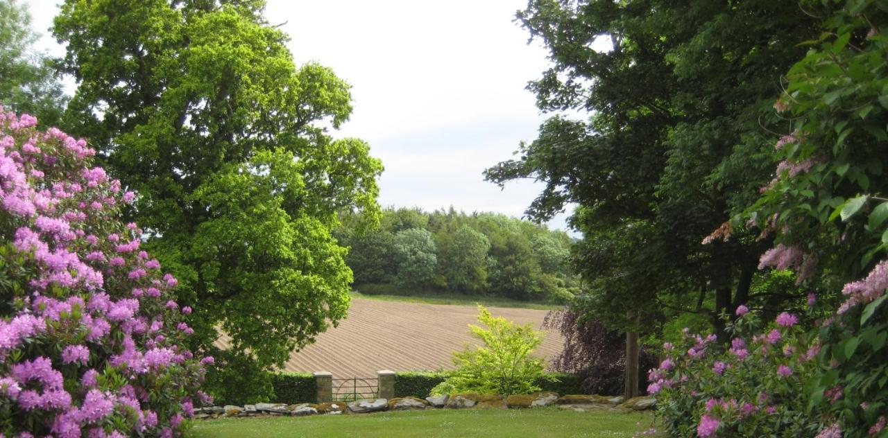 Ballydugan Country House Downpatrick Dış mekan fotoğraf