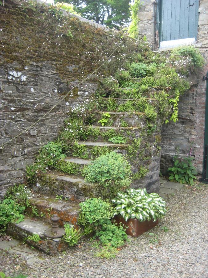 Ballydugan Country House Downpatrick Dış mekan fotoğraf