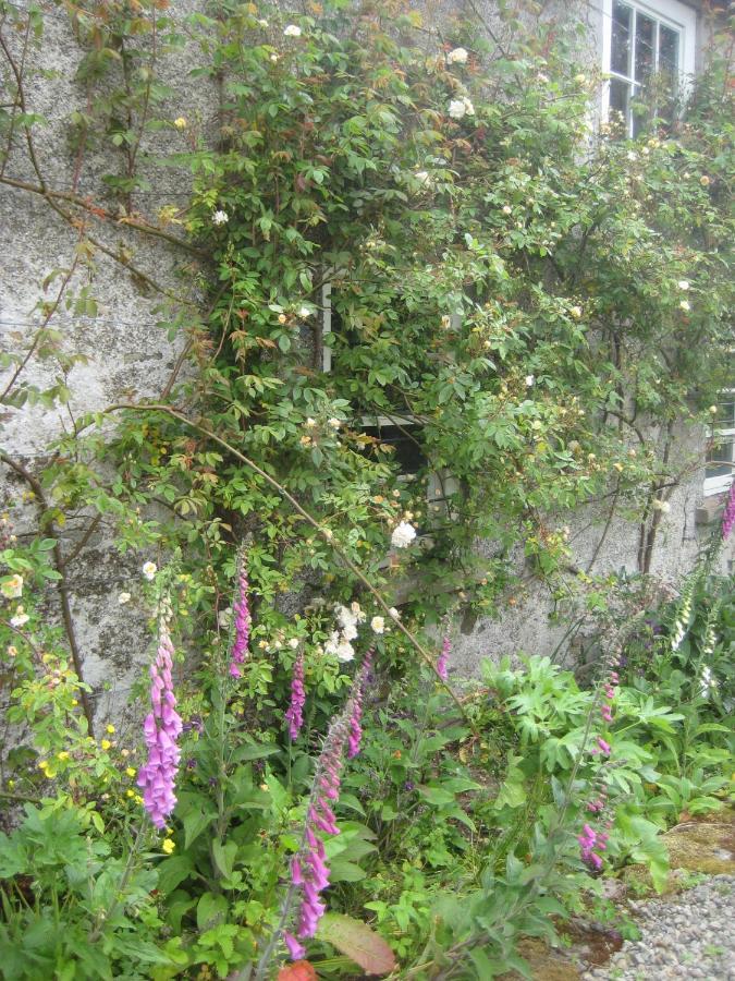 Ballydugan Country House Downpatrick Dış mekan fotoğraf