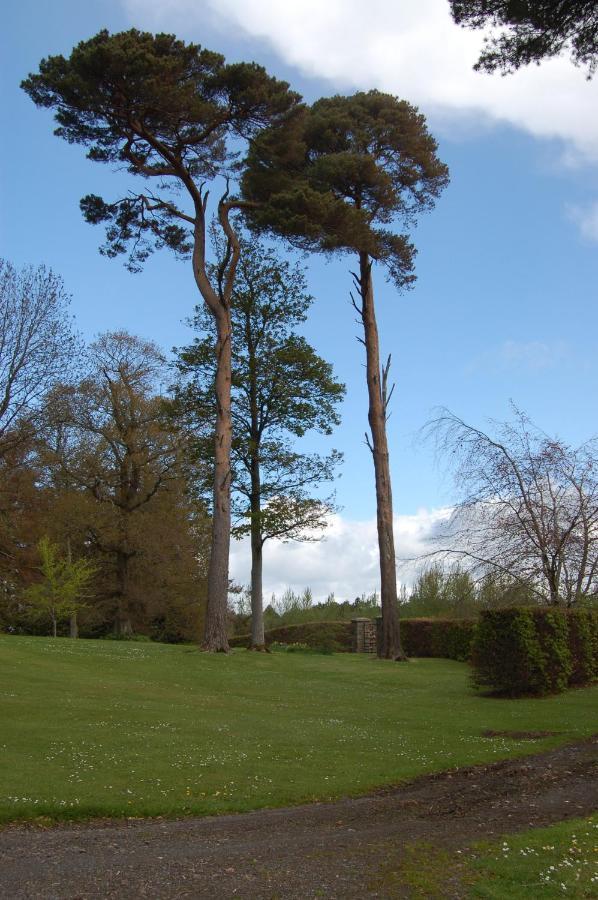 Ballydugan Country House Downpatrick Dış mekan fotoğraf