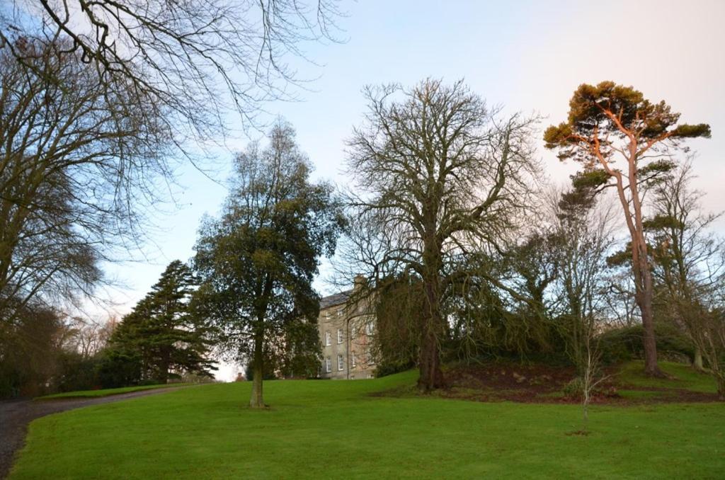 Ballydugan Country House Downpatrick Dış mekan fotoğraf