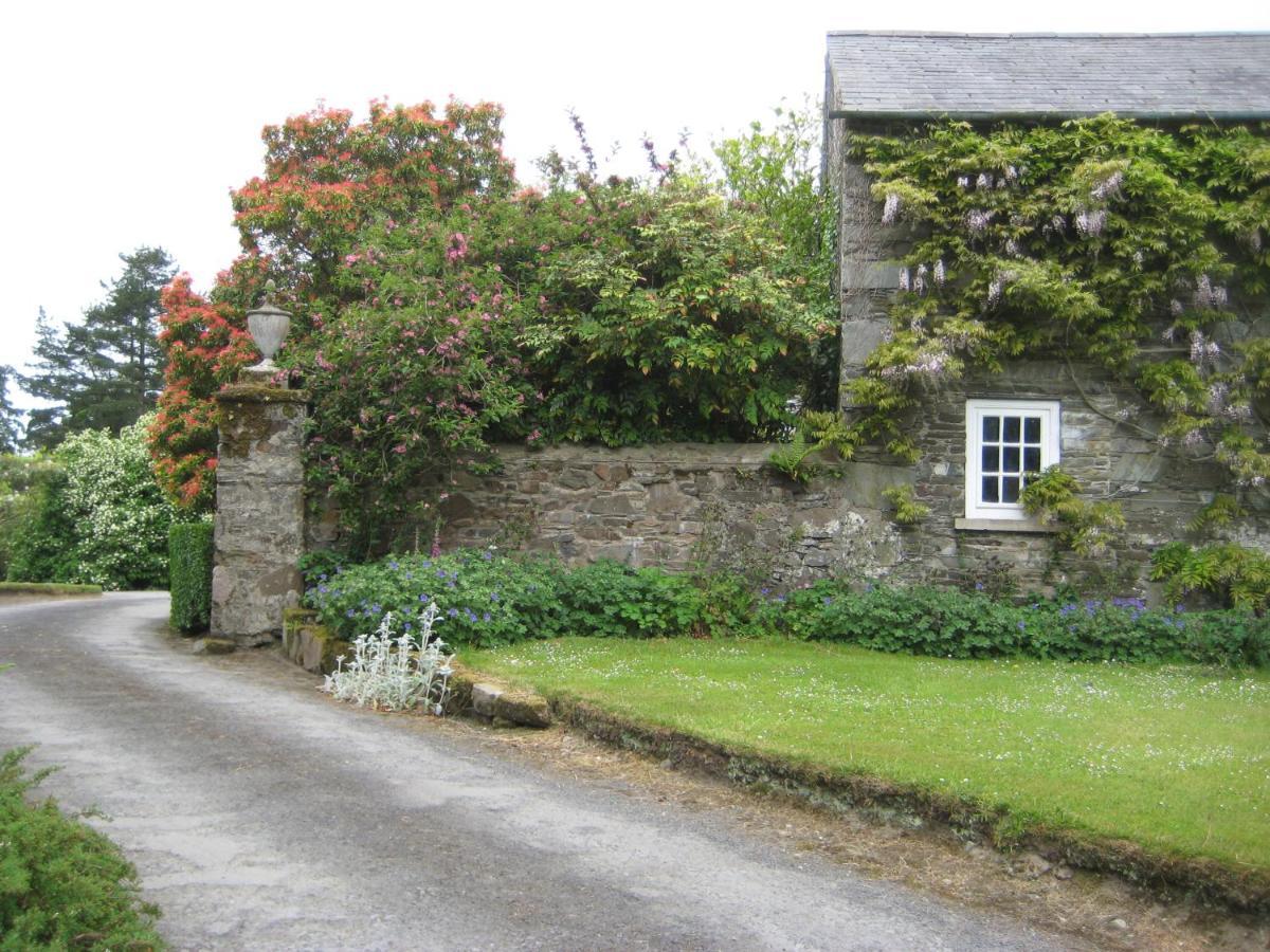 Ballydugan Country House Downpatrick Dış mekan fotoğraf