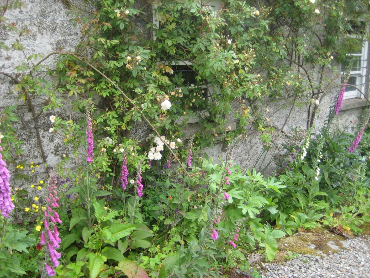Ballydugan Country House Downpatrick Dış mekan fotoğraf