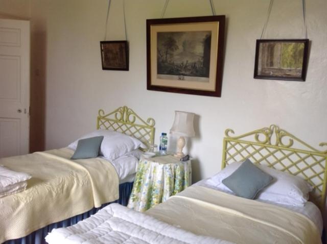Ballydugan Country House Downpatrick Dış mekan fotoğraf